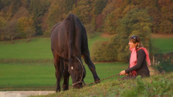 慢动作：在一个平静的夜晚，年轻女人摸着她的大马吃草 — 图库视频影像