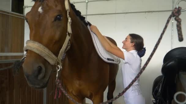 LOSE UP: Leende flicka sadla upp sin häst innan en dressyr tävling. — Stockvideo