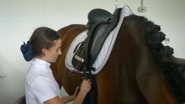 Zaměřená mladá žena upevňující obvod na svého koně před soutěží. — Stock video