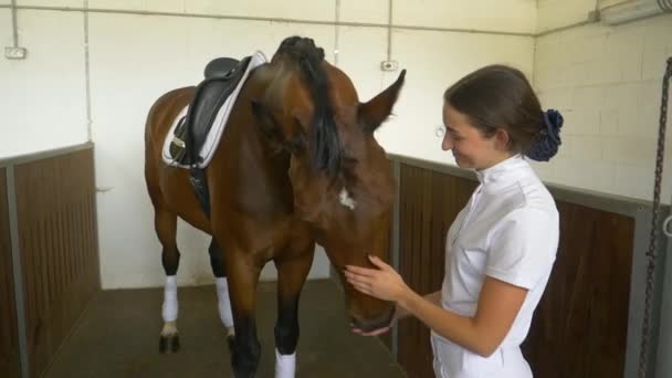 Nahaufnahme: Glückliche Frau streichelt ihr schönes Pferd vor einem Dressurwettbewerb. — Stockvideo