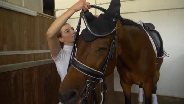 MOCIÓN LENTA: Mujer caucásica en ropa formal poniendo un freno a su caballo marrón . — Vídeo de stock