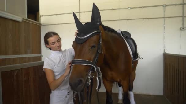 Close Up: opiekuńcza dziewczyna zaczepiająca i regulująca uzdę na głowie konia. — Wideo stockowe