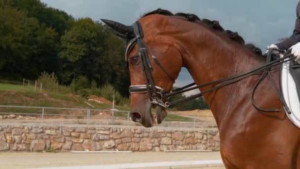 Nahaufnahme: Unerkennbare Frau in blauem Gewand galoppiert durch die Sandarena. — Stockvideo