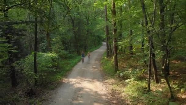 DRONE: Volando en frente de la mujer en forma y el hombre corriendo por el bosque soleado . — Vídeos de Stock