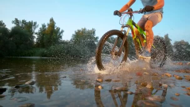 LOW ANGLE:認識できないマウンテンバイクが川の浅瀬でカメラの前を走る — ストック動画