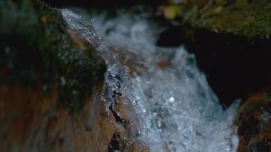 MACRO: River water splashing down a mossy cascade while flowing through forest.