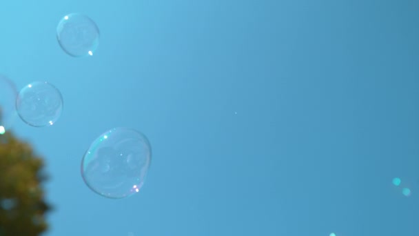 Movimiento lento, MACRO: burbujas de jabón de colores volando hacia el cielo azul claro . — Vídeos de Stock