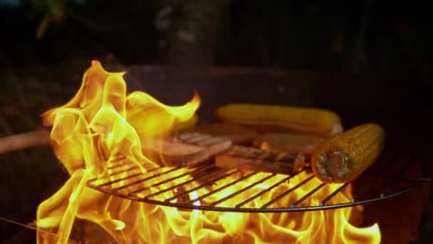 MACRO, DOF: plano cinematográfico de llamas cocinando la deliciosa barbacoa vegana . — Vídeos de Stock