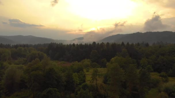 Drone: Piękny zachód słońca świeci na rozległym lesie w spokojnej okolicy. — Wideo stockowe