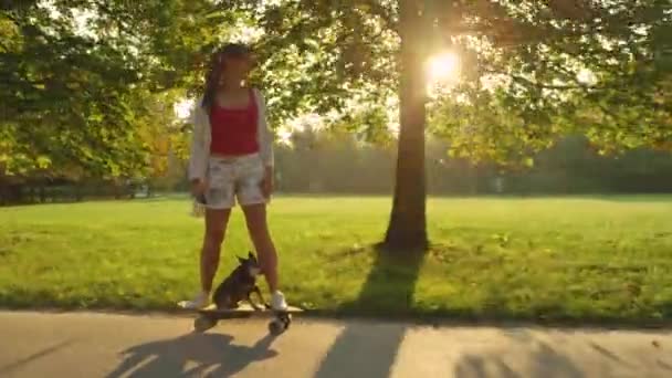 LENS FLARE: Cheerful girl and cute puppy riding a high tech electric longboard. — Stock Video