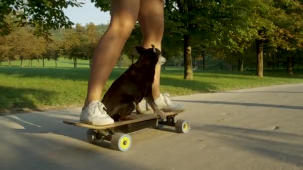 Movimiento lento: Mujer joven monta su e-longboard a través del parque con su perro . — Vídeo de stock