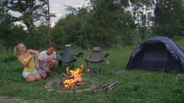 COPY SPACE: Funny shot of young couple waving their arms to repel mosquitoes. — Stock Video