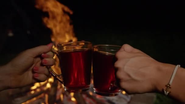 MOTION LENT : Des jeunes campeurs méconnaissables trinquent avec du thé chaud sur un feu de camp . — Video