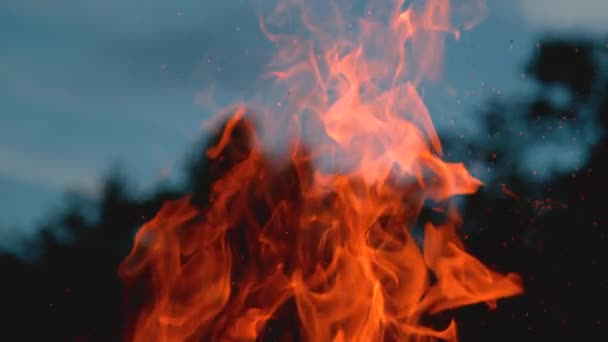 MACRO: Fogueira brilhante queimando intensamente em uma noite calma de verão na natureza. — Vídeo de Stock