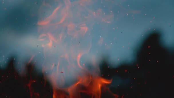 SLOW MOTION, MACRO, DOF: Blazing campfire spits out glowing orange sparks. — Stock Video