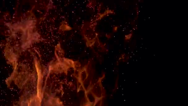 MAPPA DEL TEMPO, MACRO: Splendide fiamme brillano nel buio della notte . — Video Stock