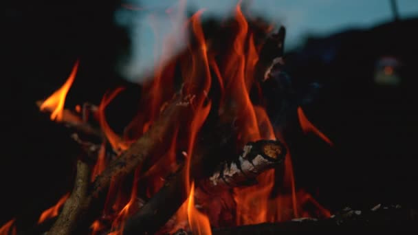 Slow Motion: Renkli kamp ateşi sabahın erken saatlerinde sıcaklık ve ışık sağlıyor. — Stok video