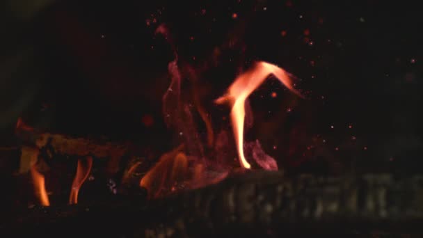 SLOW MOTION : Flammes engloutissant des charbons dans un feu de camp et des étincelles surgissant dans l'air .
