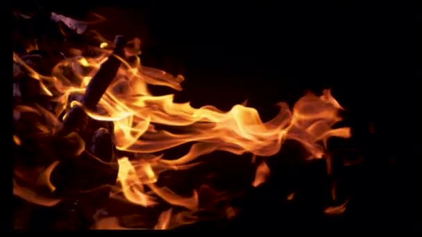 VERTICAL SLOW MOTION: Bonfire burning in the darkness of a cold summer night. — Stock Video