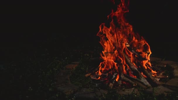 Närbild: Färgglada lägereld lyser upp vildmarken en lugn sommarnatt. — Stockvideo