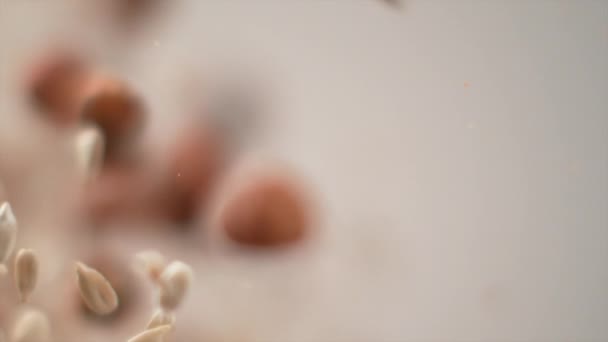 SLOW MOTION: Cool shot of nuts and small brown particles exploding into camera. — Stock Video