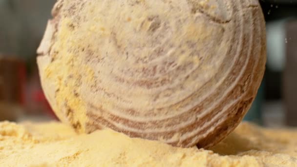 Makro, Dof: Rustykalny brązowy bochenek chleba wpada w stertę grubej mąki kukurydzianej. — Wideo stockowe