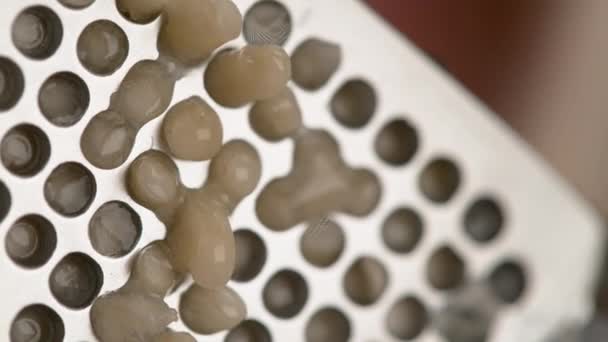 Macro: Detail shot van roestvrij staal pers knijpen een ruwe teentje knoflook. — Stockvideo