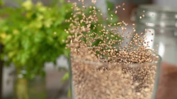Крошечные семечки конопли вылетают из стеклянного блендера, когда он включён. . — стоковое видео