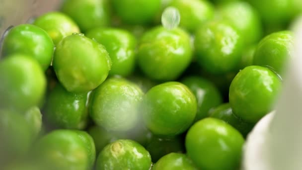 MACRO, DOF: Water droplets splash over the round green peas inside a blender. — Stock Video