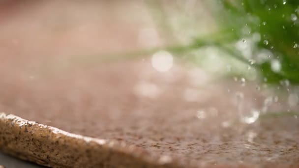 MACRO : La ciboulette maison parfumée tombe dans une assiette peu profonde remplie d'eau . — Video