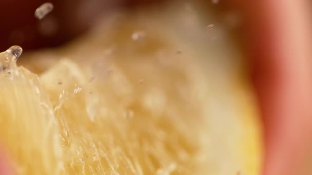 MACRO, DOF: Kwart van de biologische citroen wordt geperst en zure sap spuit uit. — Stockvideo