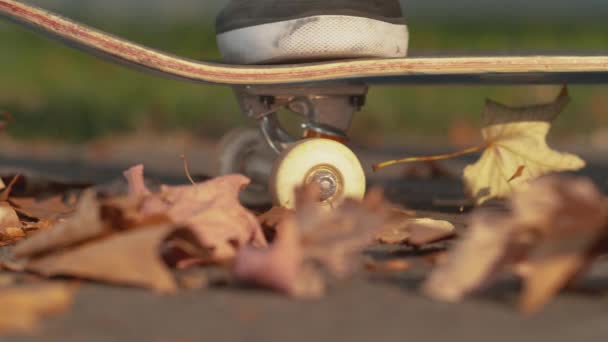 Herfst blaadjes vliegen omhoog in de lucht nadat skateboarder op zijn board rijdt. — Stockvideo