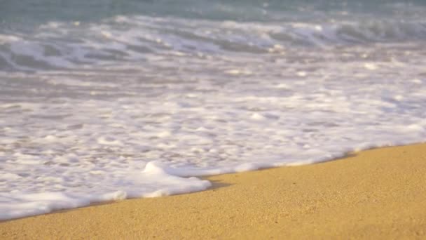 Köpüklü dalgalar, Korsika 'nın el değmemiş kumlu kıyılarını yıkıyor. — Stok video