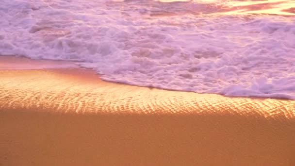 FERMER : Beau cliché de vagues de mousse sur la côte de sable brun . — Video