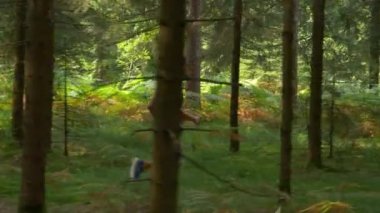 Mükemmel bir yaz gününde, güneşli ormanda koşan zinde bir adam..