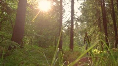 LENS FLARE Altın güneş ışıkları ormanda koşan atletik erkek patikasında parlıyor