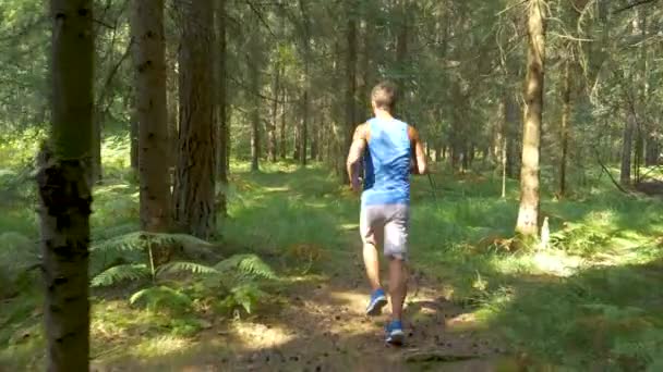 Slow Motion: Unerkennbar athletischer Mann joggt durch den malerischen Wald. — Stockvideo