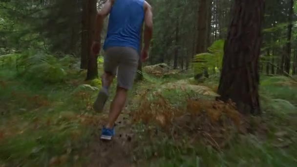 Nízký úhel, uzavřít: Nepoznatelný muž běží klidným lesem. — Stock video