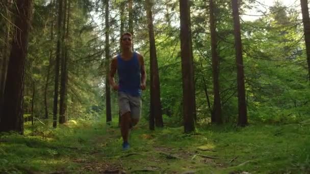 LOW MOTION: Atleta masculino despreocupado correndo pela floresta iluminada pelo sol cênica . — Vídeo de Stock