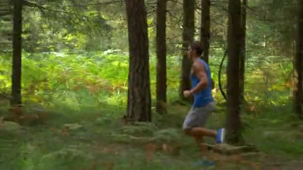 Passar ung man joggar genom den natursköna skogen på en solig sommareftermiddag. — Stockvideo