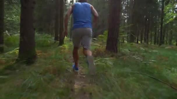 Низкий угол: Неузнаваемый человек бежит по пустой лесной тропе в солнечный день — стоковое видео