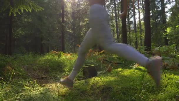 BAIXA ÂNGULO: Mulher loira desportiva indo para uma corrida relaxante através da floresta . — Vídeo de Stock