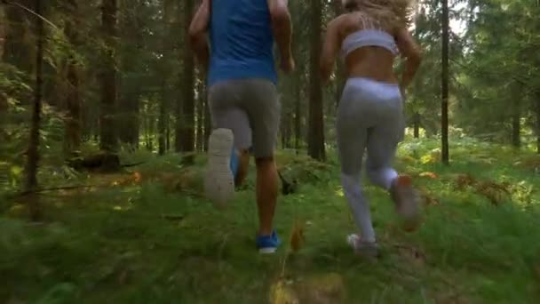 SLOW MOTION: Homem atlético e mulher esportiva correndo juntos pela floresta . — Vídeo de Stock