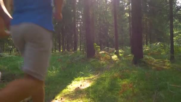 SLOW MOTION : Homme actif et sa petite amie faisant du jogging dans la forêt ensoleillée .