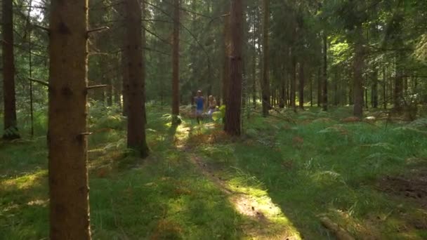 SLOW MOTION : Heureux couple sportif aller sentier de course à travers la forêt sereine .