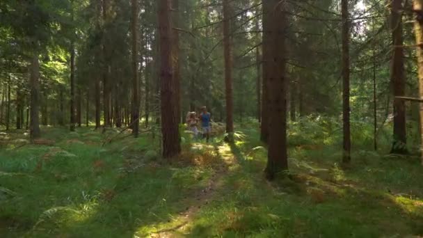 SLOW MOTION: Happy training partners πάει για τρέξιμο μέσα από το ηλιόλουστο δάσος. — Αρχείο Βίντεο