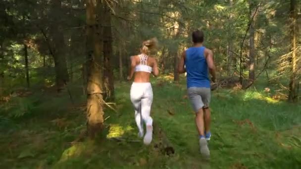 MOCIÓN LENTA: Entrenamiento de corredores masculinos y femeninos para una carrera a pie en un bosque idílico . — Vídeos de Stock