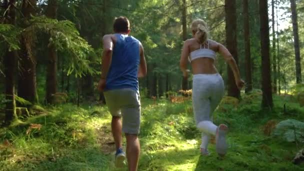 FAIBLE ANGLE : Couple énergique en tenue de sport courant à travers les bois ensoleillés . — Video