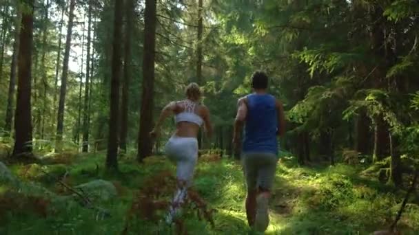 SLOW MOTION: Summer sunbeams shine on the forest trail as joggers explore nature — Stock Video