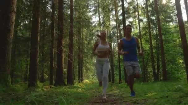 LENS FLARE: Spring sunbeams shine through the treetops and down on trail runners — Stock Video